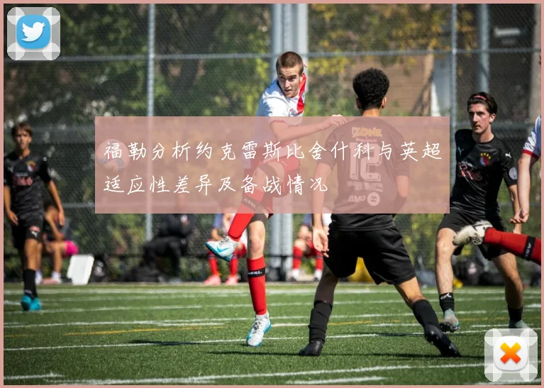 福勒分析约克雷斯比舍什科与英超适应性差异及备战情况
